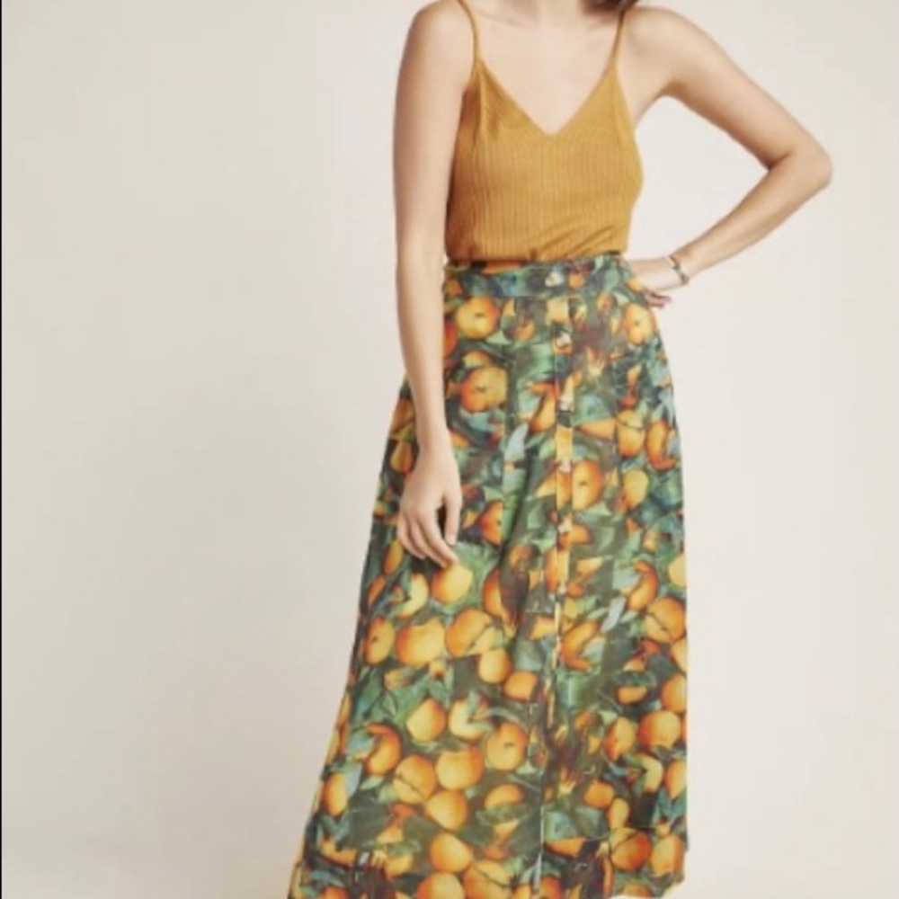 Maeve Anthropologie spring/summer skirt
